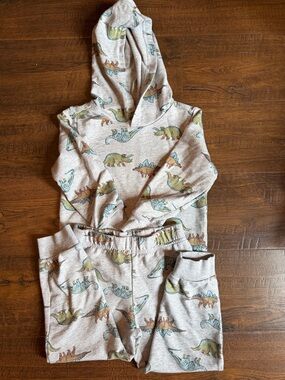 Kids Hooded Set with Dinosaur Print - Gray